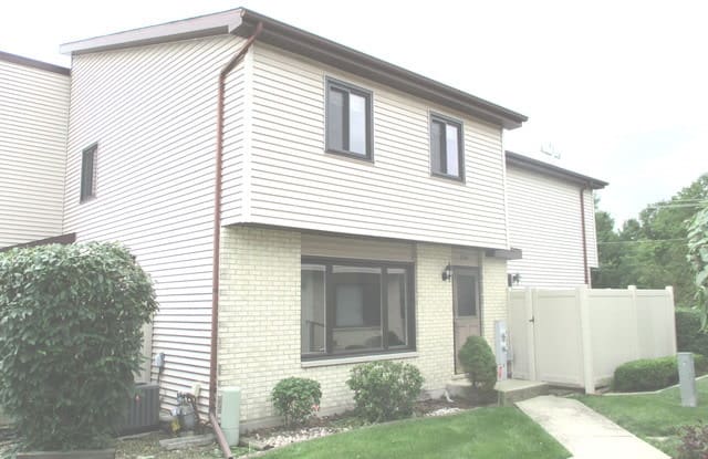 250 East Woodlawn Road - 250 East Woodlawn Road, New Lenox, IL 60451