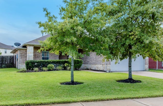 3122 Mustang Meadow Lane - 3122 Mustang Meadow Lane, Brazoria County, TX 77578
