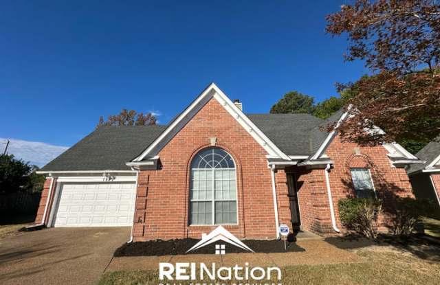 7849 Collins Wood Cove Gallery 1