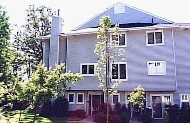 97 Commodore Drive photos photos