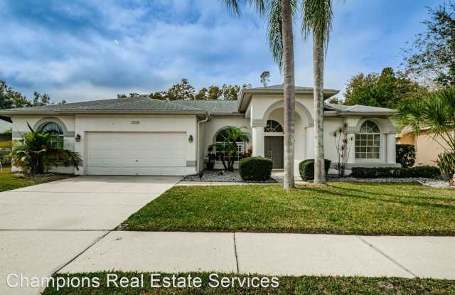 1025 ArlinBrook Dr - 1025 Arlinbrook Drive, Trinity, FL 34655
