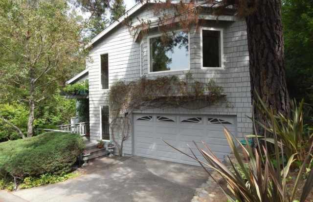 Gorgeous 3 Bedroom 2 Bathroom Home Walking Distance to Downtown Los Gatos! photos photos