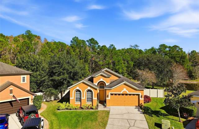 31720 MARCHESTER DRIVE - 31720 Marchester Drive, Wesley Chapel, FL 33543