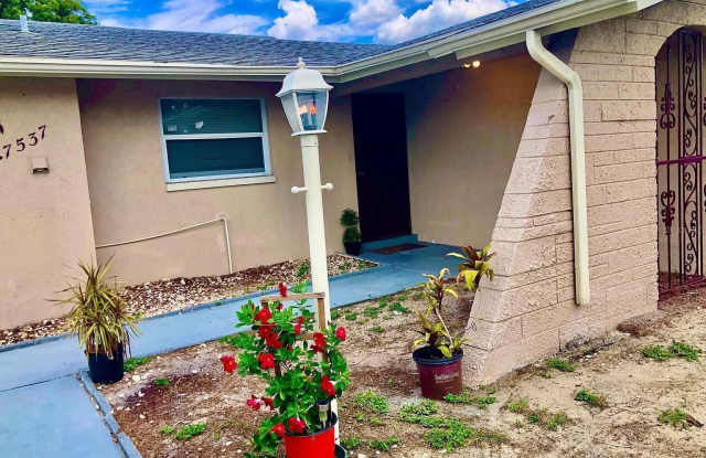 7537 JASMINE BOULEVARD photos photos 7537 JASMINE BOULEVARD photos photos