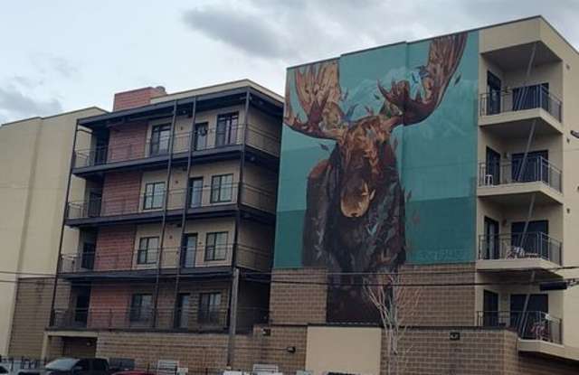 Gorgeous Condo! photos photos