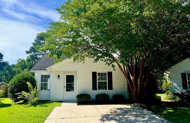 Charming Renovated Home in Forest Park photos photos