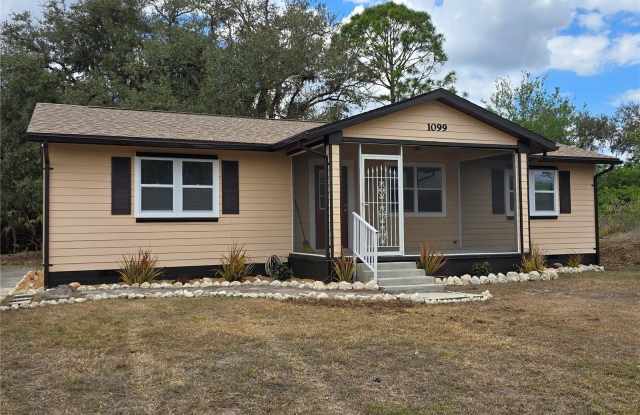 1099 RIGGS STREET photos photos