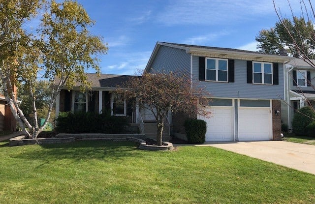 825 Pheasant Walk Drive - 825 Pheasant Walk Drive, Schaumburg, IL 60193