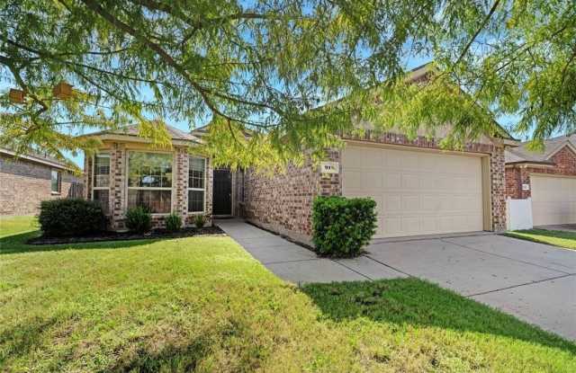 913 Hawthorne Road - 913 Hawthorne Road, Anna, TX 75409