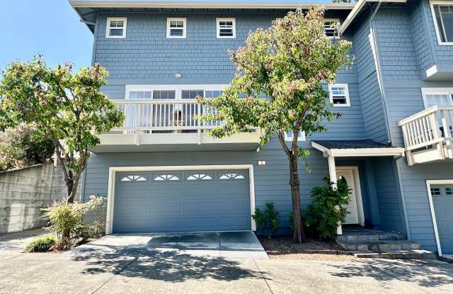 San Rafael Hillside Retreat photos photos