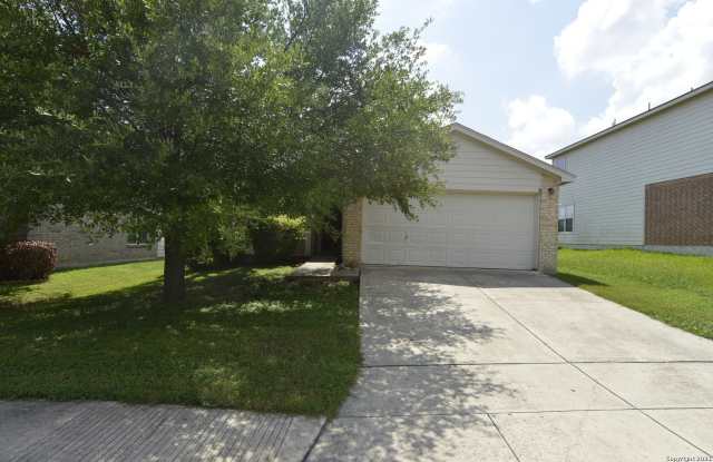 914 Rustling photos photos