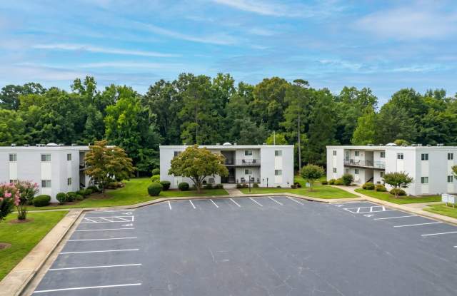 Clemmons Village Apartments Gallery 3