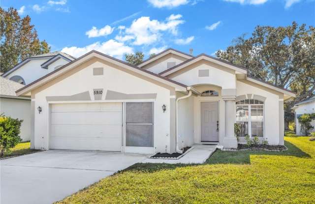 5910 PETUNIA LANE - 5910 Petunia Lane, Williamsburg, FL 32821