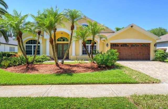 18806 CHEMILLE DRIVE - 18806 Chemille Drive, Keystone, FL 33558