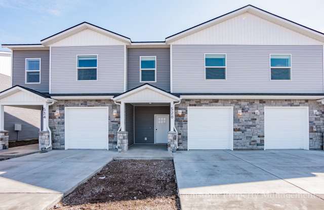 Darling 3 Bed 2.5 bath townhome located in Sugar City, ID photos photos