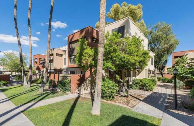 3600 N Hayden Rd photos photos