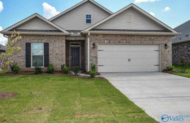 110 Delilah Lane - 110 Delilah Lane, Madison County, AL 35756