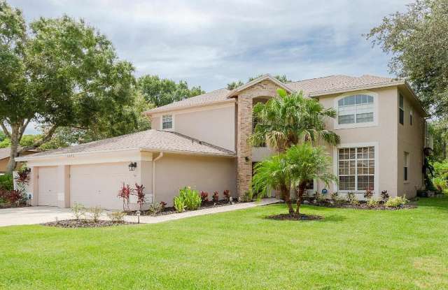 5682 Stag Thicket Lane - 5682 Stag Thicket Lane, East Lake, FL 34685