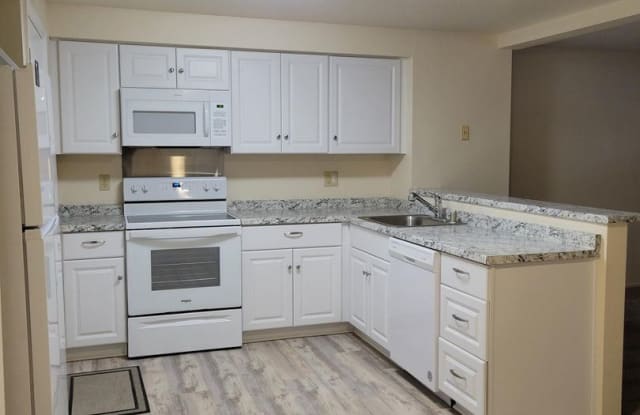 279 Allouette Way #3 - 279 Allouette Way, Carson City, NV 89701