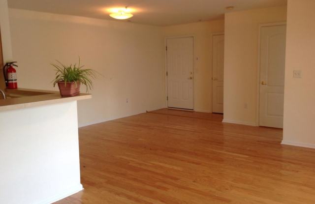 330 NICHOLAS DRIVE Gallery 3