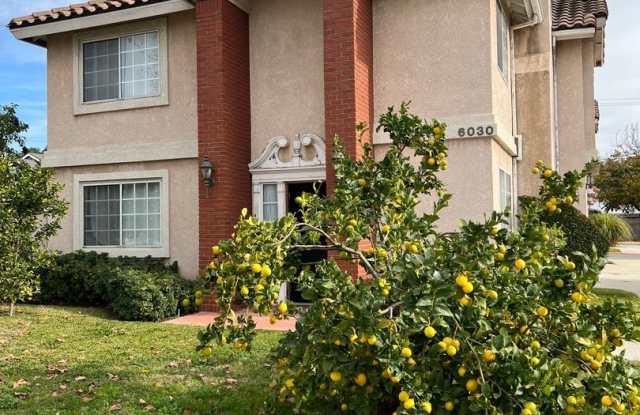 Spacious 4 Bedroom-2.5 Bath, - Fireplace, Yard - Camellia Gallery 1