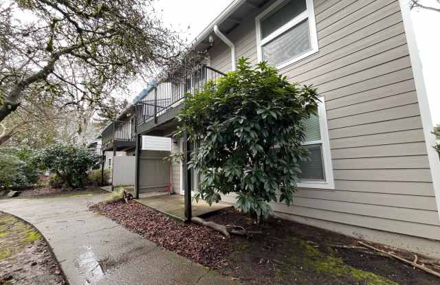 Updated 1st floor 1 X 1 Beaverton Condo! Close to Downtown Beaverton! Spacious & Open, Close to Nike & Intel Gallery 3