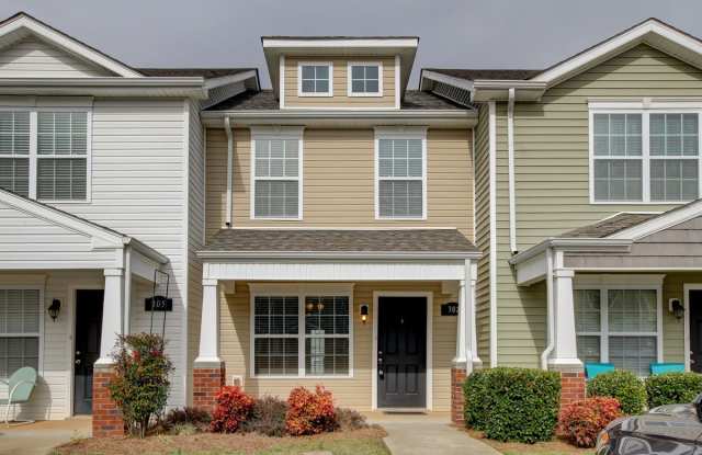 Beautiful Town Home Across From Tennova and Minutes to I-24 With Hardwood Flooring - 307 Sam Houston Circle, Clarksville, TN 37043