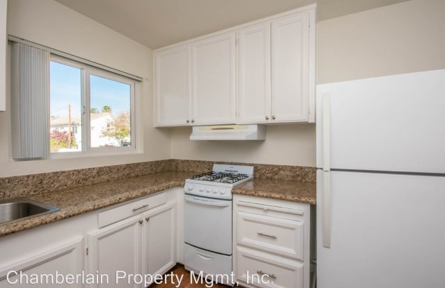 325 Chestnut #6 - 325 Chestnut Ave, Carlsbad, CA 92008