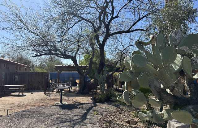 1323 E Allen Road - 1323 East Allen Road, Tucson, AZ 85719