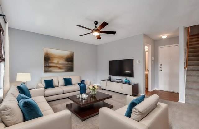 126 Coopers Hawk photos photos