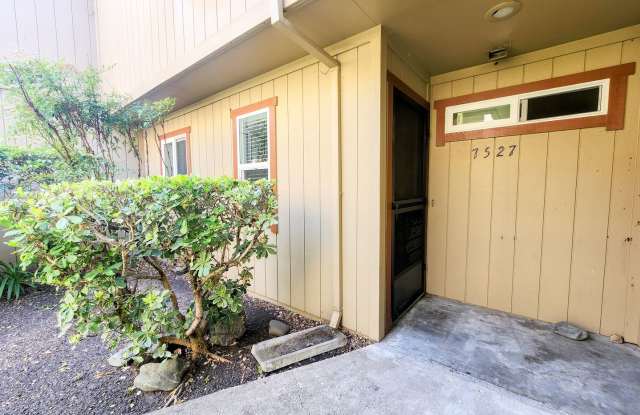 1 Bedroom Condo For Rent photos photos
