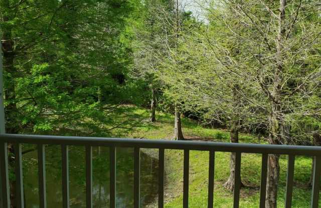 8897 WHITE SAGE LOOP Gallery 2