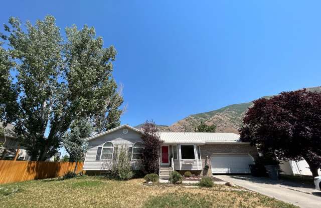 1513 House photos photos