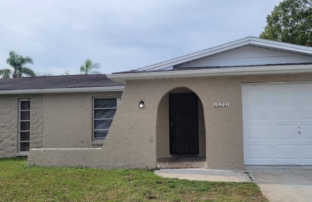 10231 Old Hickory Ln - 10231 Old Hickory Lane, Bayonet Point, FL 34668