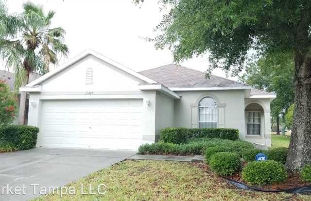 23645 Coral Ridge Ln. - 23645 Coral Ridge Lane, Land O' Lakes, FL 34639