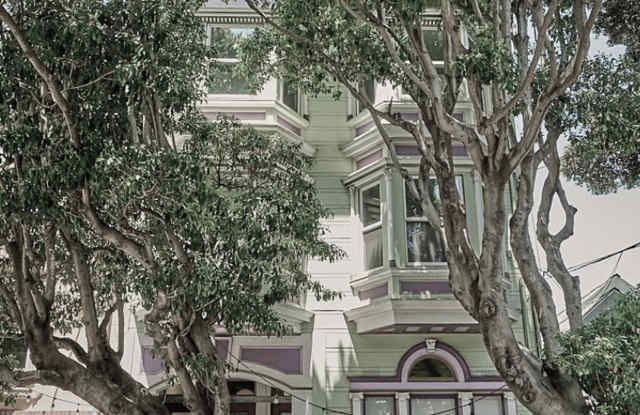 Mission Dolores: Top Floor 3 or 4 Bedroom Remodeled Flat w/ Views + Bonus Room + Shared Yard photos photos