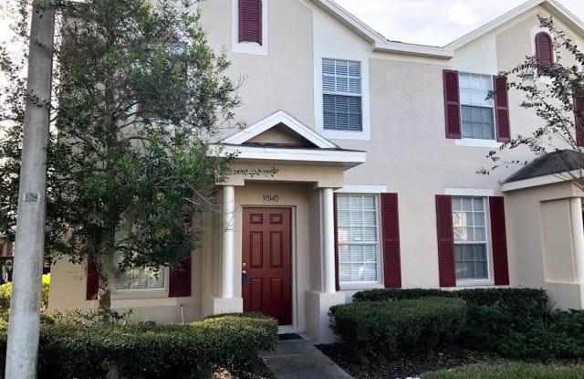 30140 Wellesley Way - 30140 Wellesley Way, Wesley Chapel, FL 33543
