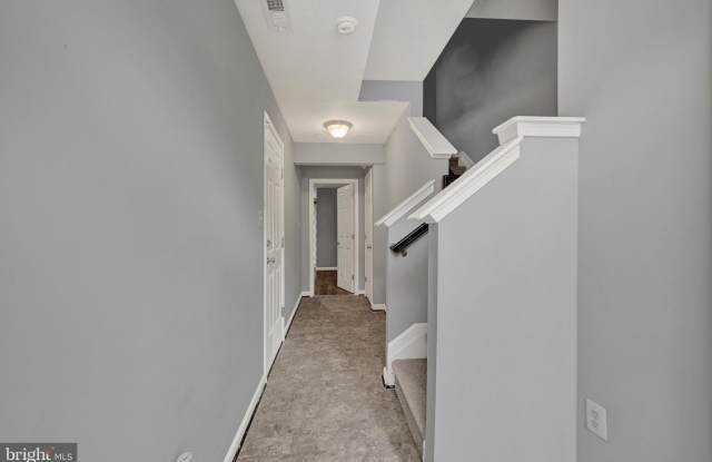 713 ENGLISH IVY Way Gallery 2