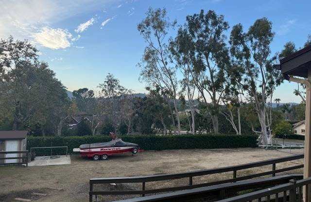 20372 Amapola photos photos