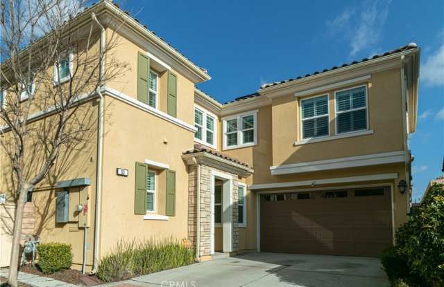 53 Bluebell photos photos