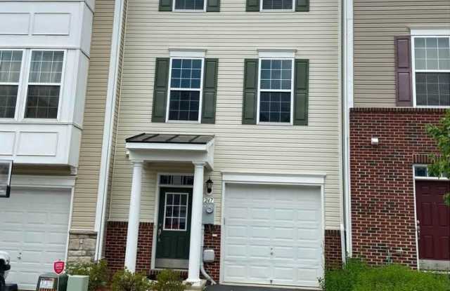 247 SCHRAMM LOOP photos photos