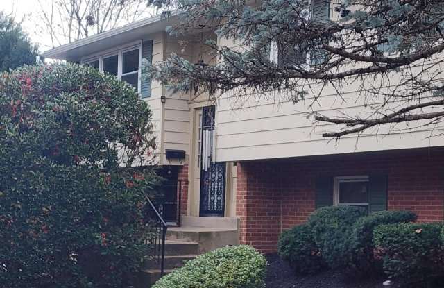 343 LIMEKILN PIKE Gallery 2