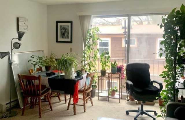 41 Belmont Street - 41 Belmont Street, Somerville, MA 02143