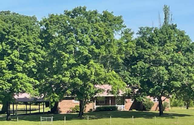 SINGLE FAMILY HOME - 360 Lower River Road, Meigs County, TN 37322