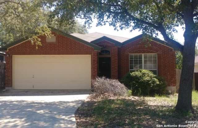 1238 Lion King - 1238 Lion King, San Antonio, TX 78251