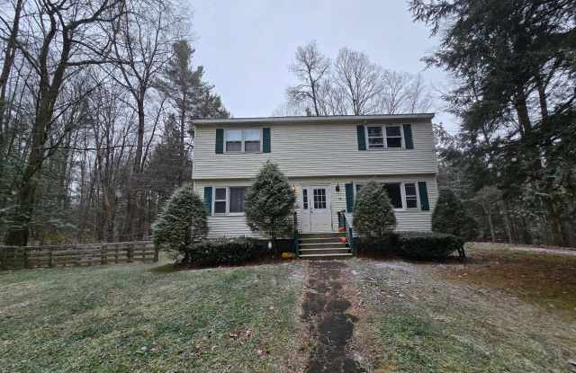 9 Hammond Drive - 9 Hammond Drive, Gansevoort, NY 12831