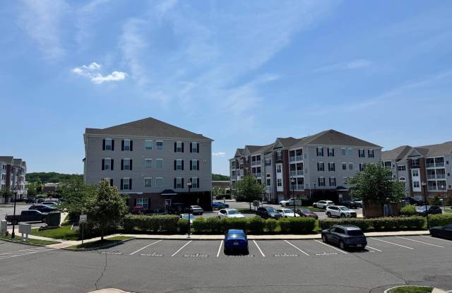 4322 CHAMPIONS Run photos photos