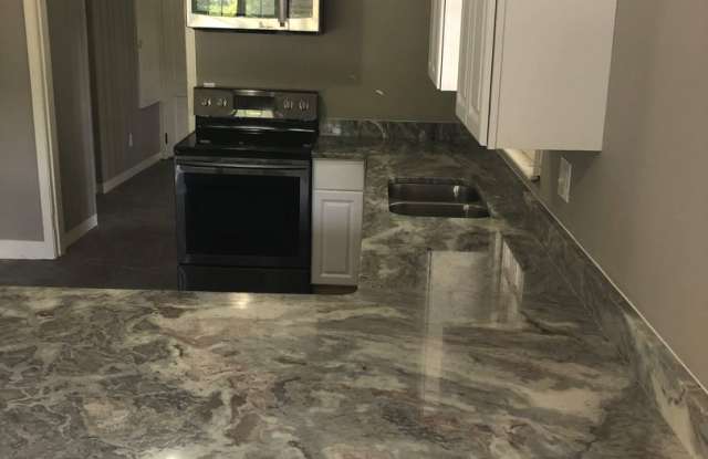 Newly Renovated 3 Bedroom Home Close to Downtown Gainesville Gallery 3