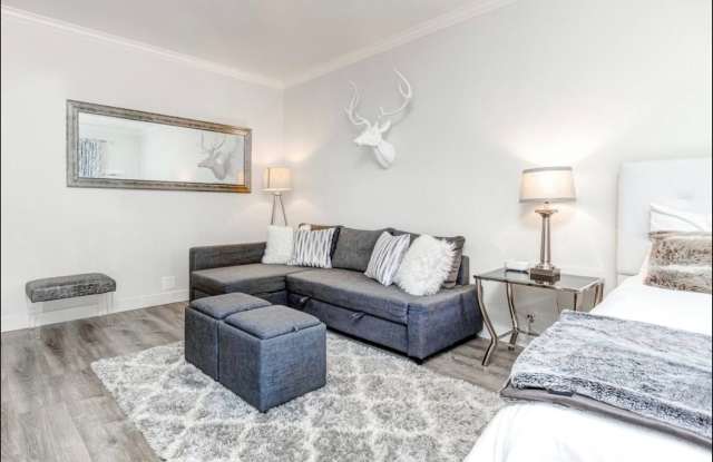 Downtown! Gorgeous Main Floor Furnished Studio Gallery 3