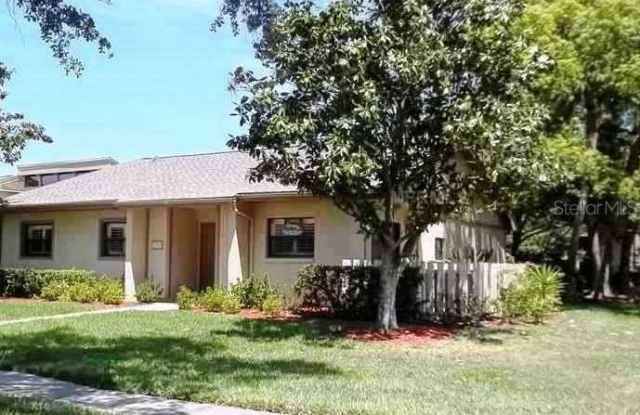 540 HICKORYNUT AVENUE - 540 Hickory Nut Avenue, East Lake, FL 34677